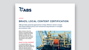 BRAZIL LOCAL CONTENT REQUIREMENTS