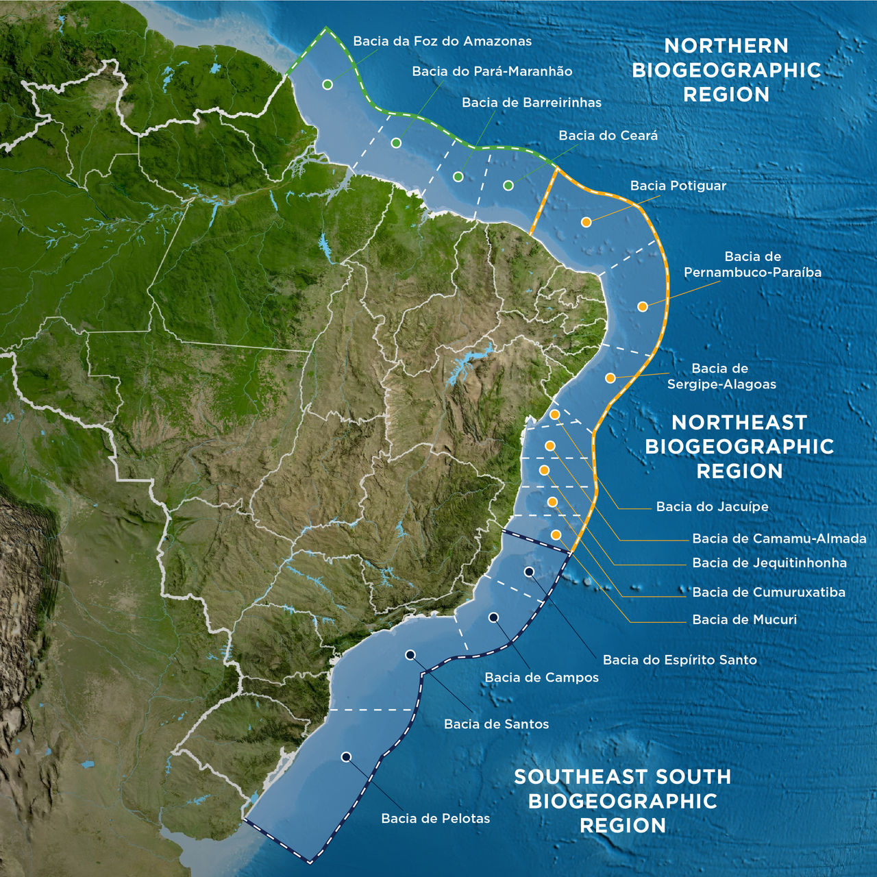 brazil-biofouling-gas-map